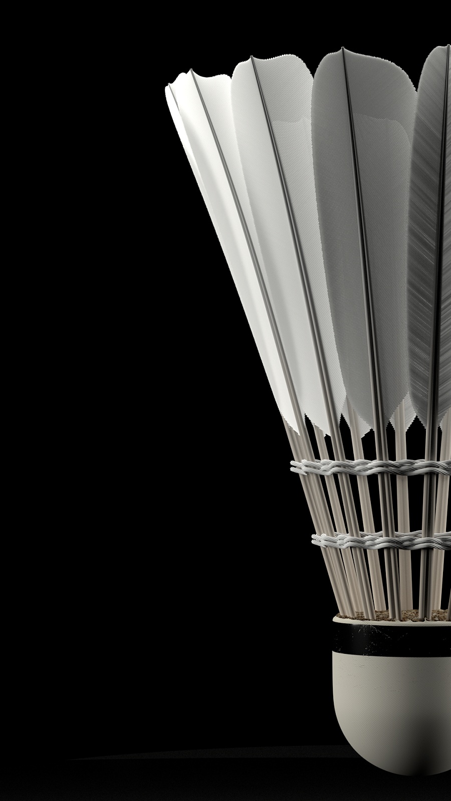 也能在比赛 也能在比赛