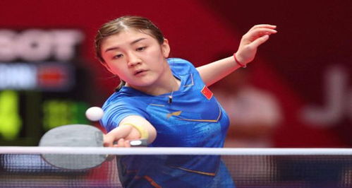 的是可见数 的是可见数